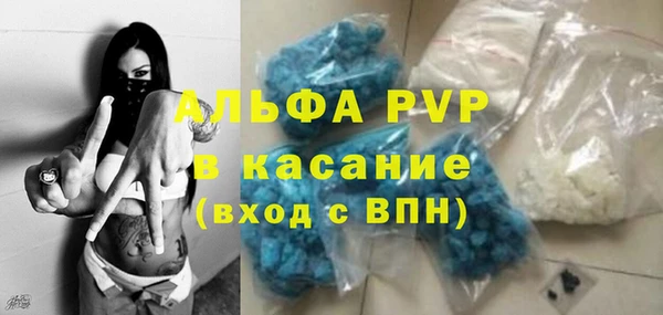 прущий лед Вяземский
