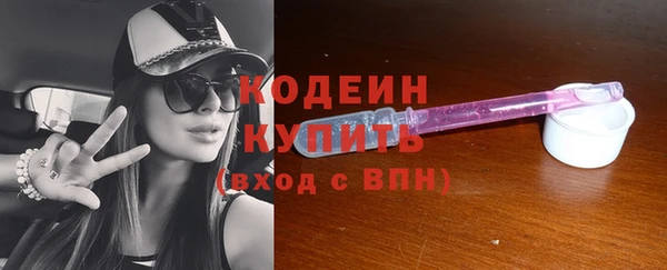 прущий лед Вяземский