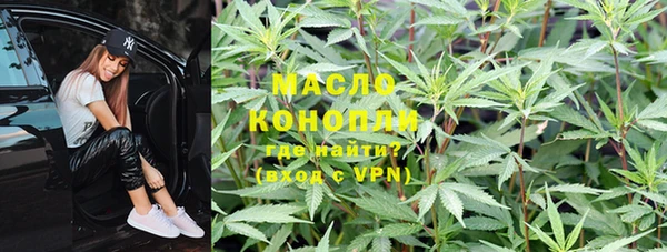 прущий лед Вяземский