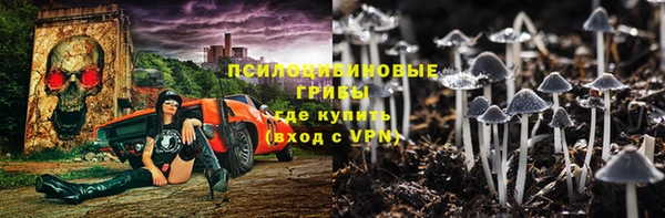 прущий лед Вяземский