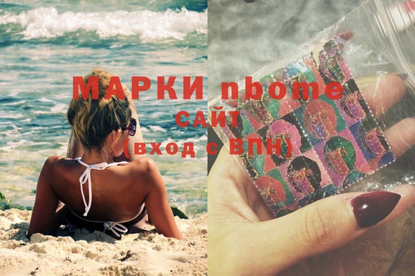 прущий лед Вяземский