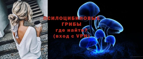 прущий лед Вяземский